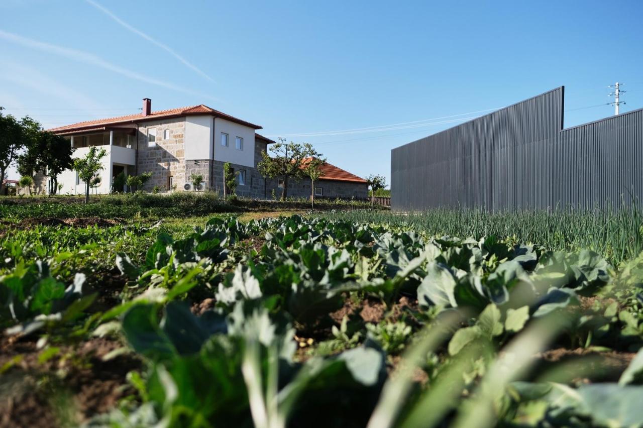 Aldeia Da Quinta Do Paco Villa Santo Tirso Eksteriør bilde